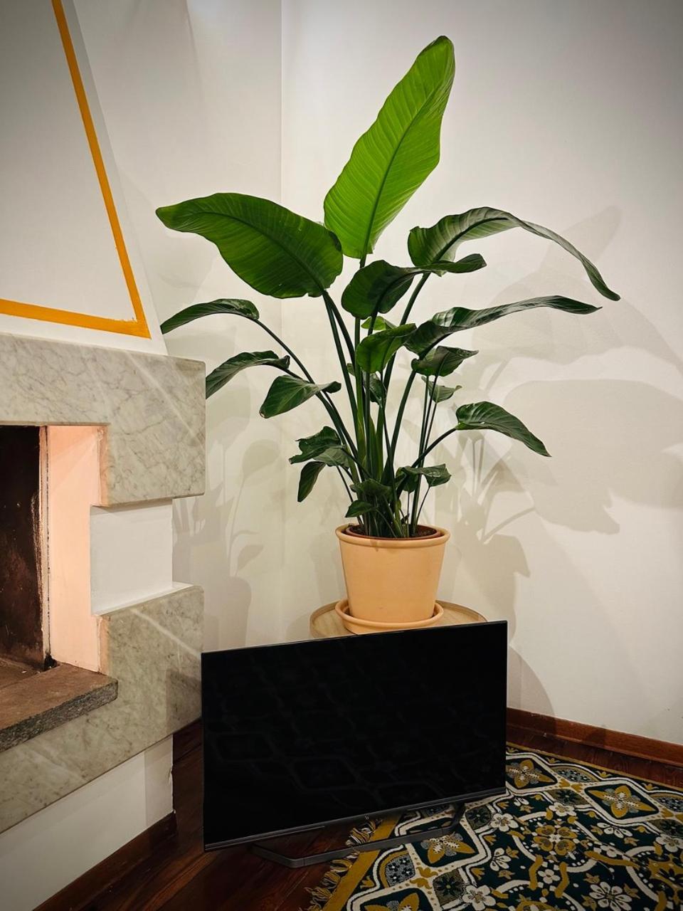 Apartamento Wow House In *