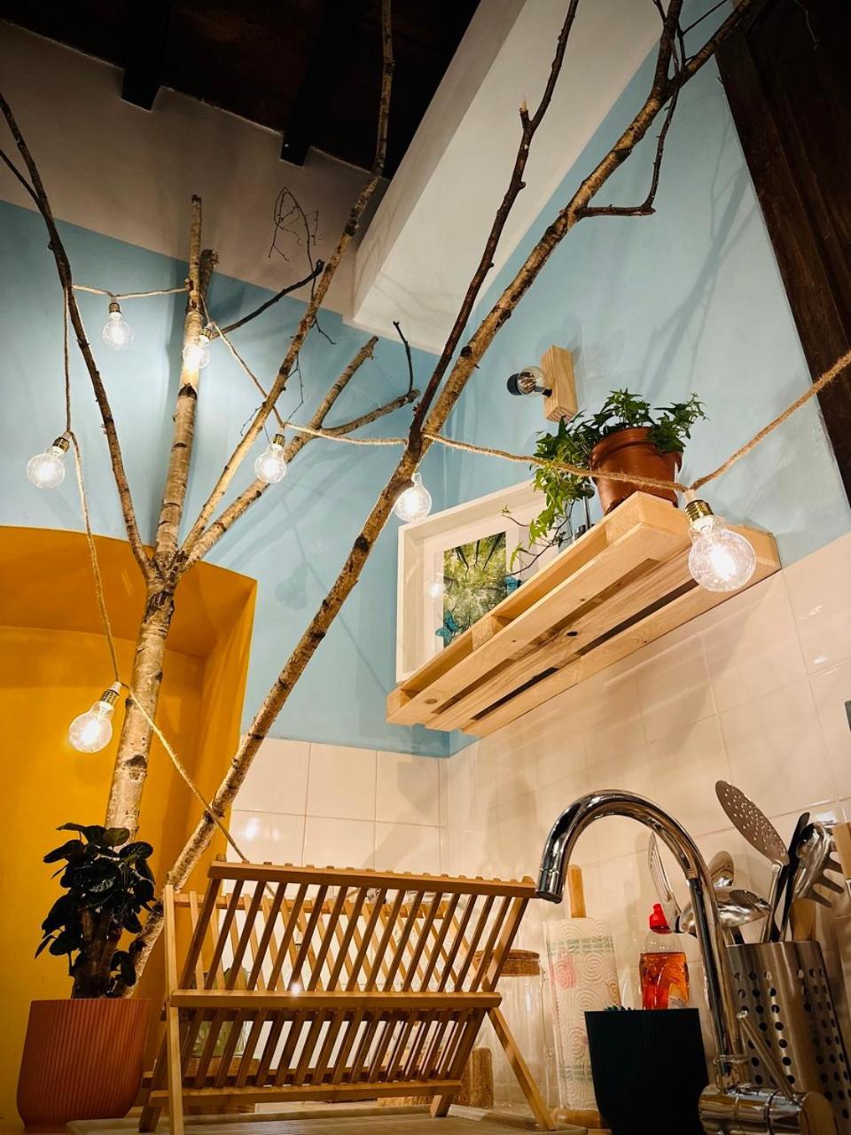 Wow House In Apartamento